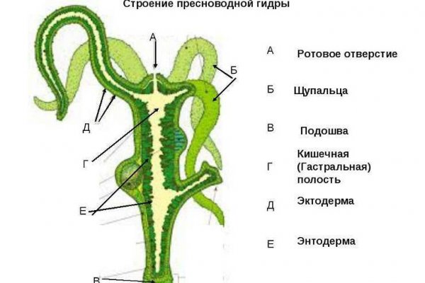 Кракен онион зеркала зеркало